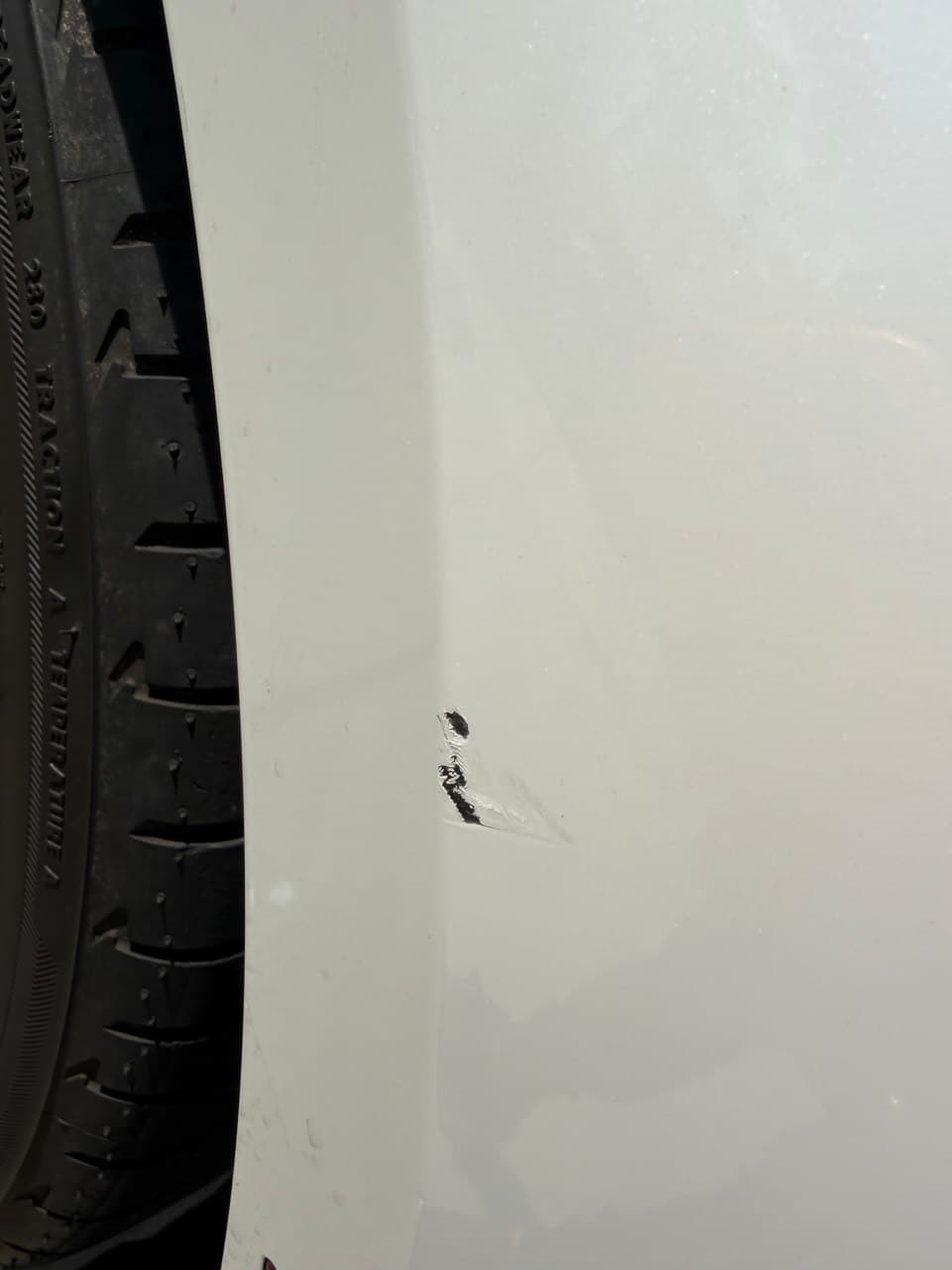 Swirl mark removal paint correction — Sacramento area auto detailing